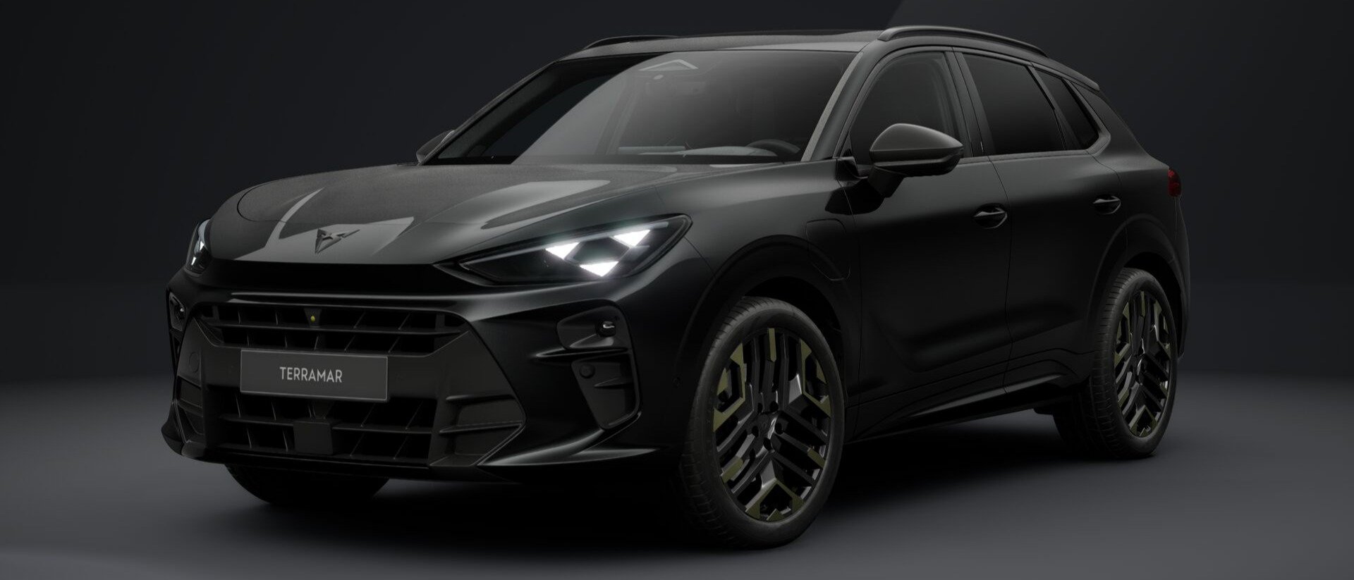 Cupra Terramar VZ Tribe Edition 1.5 e-HYBRID 200 kW (272 PS)