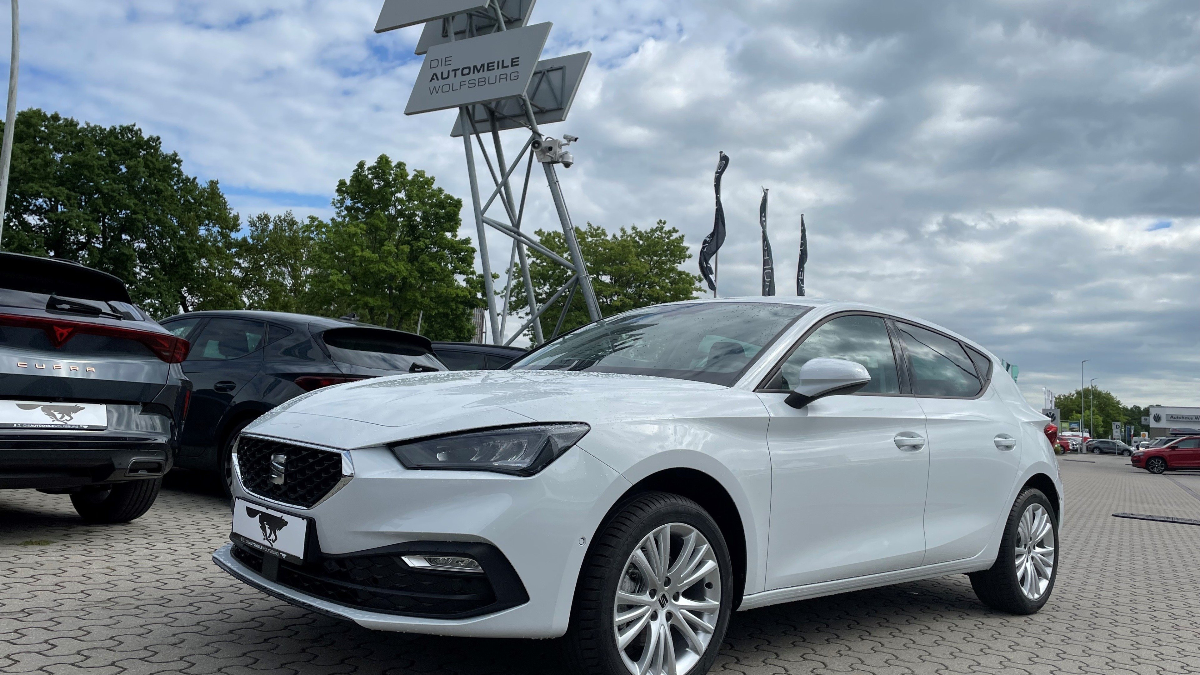 Detailbild 3: Seat Leon  Road Edition 1.5 TSI 85 kW (116 PS) 6-Gang