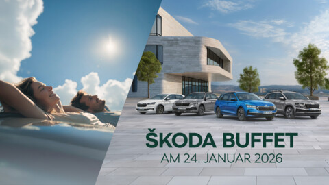 https://www.autohaus-wolfsburg.de/_Resources/Persistent/3/2/e/c/32ec53a0b274be009c9d786e13477f3f879cf02e/00219_25_SkoWob_Skoda_Buffet_Website_V1_Head-480x270.jpg