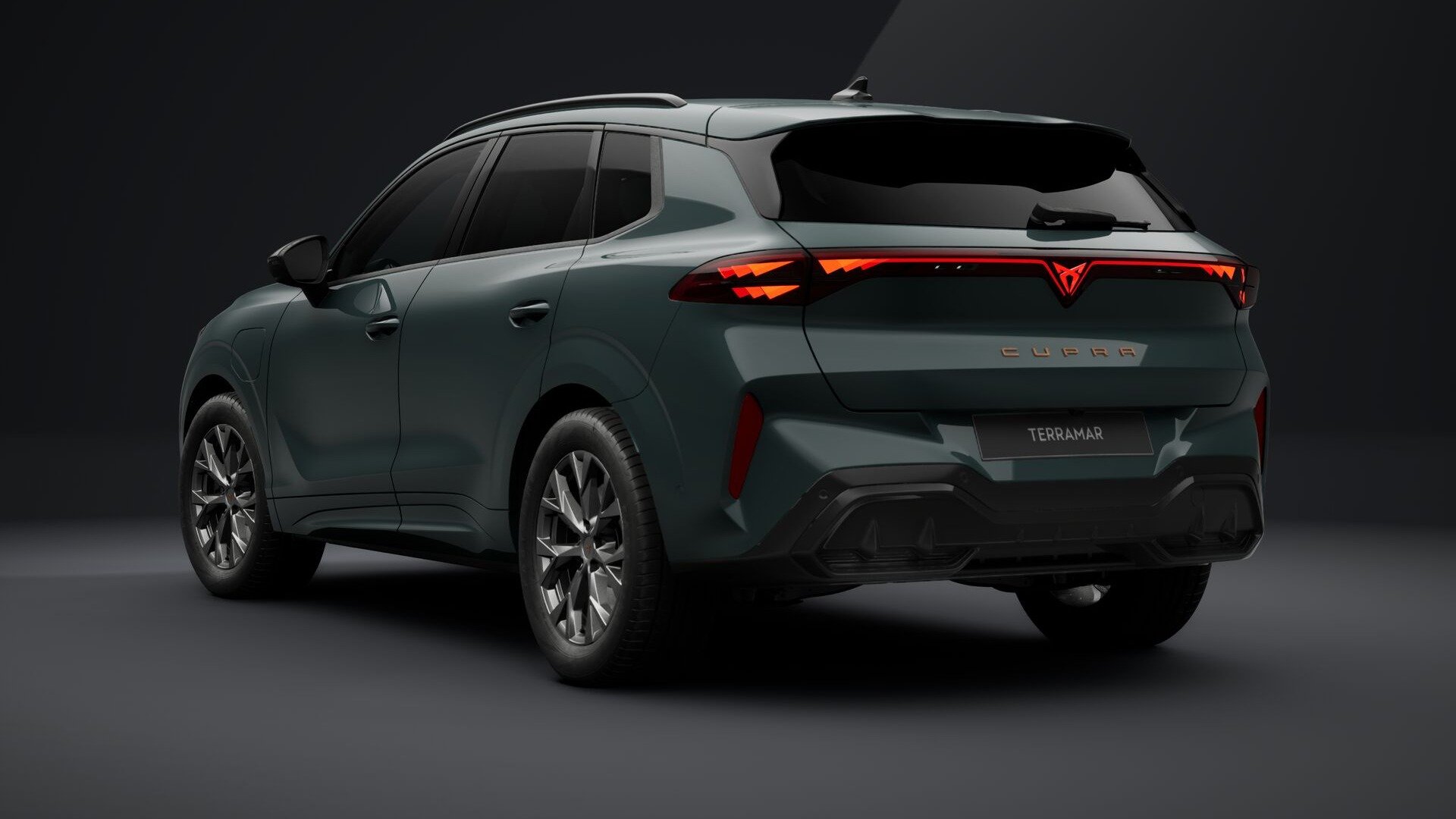 Detailbild 1: Cupra Terramar  1.5 e-HYBRID 150 kW (204 PS) 