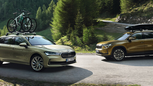 Check den Frühling aus. Mit den Škoda Profi-Checks.