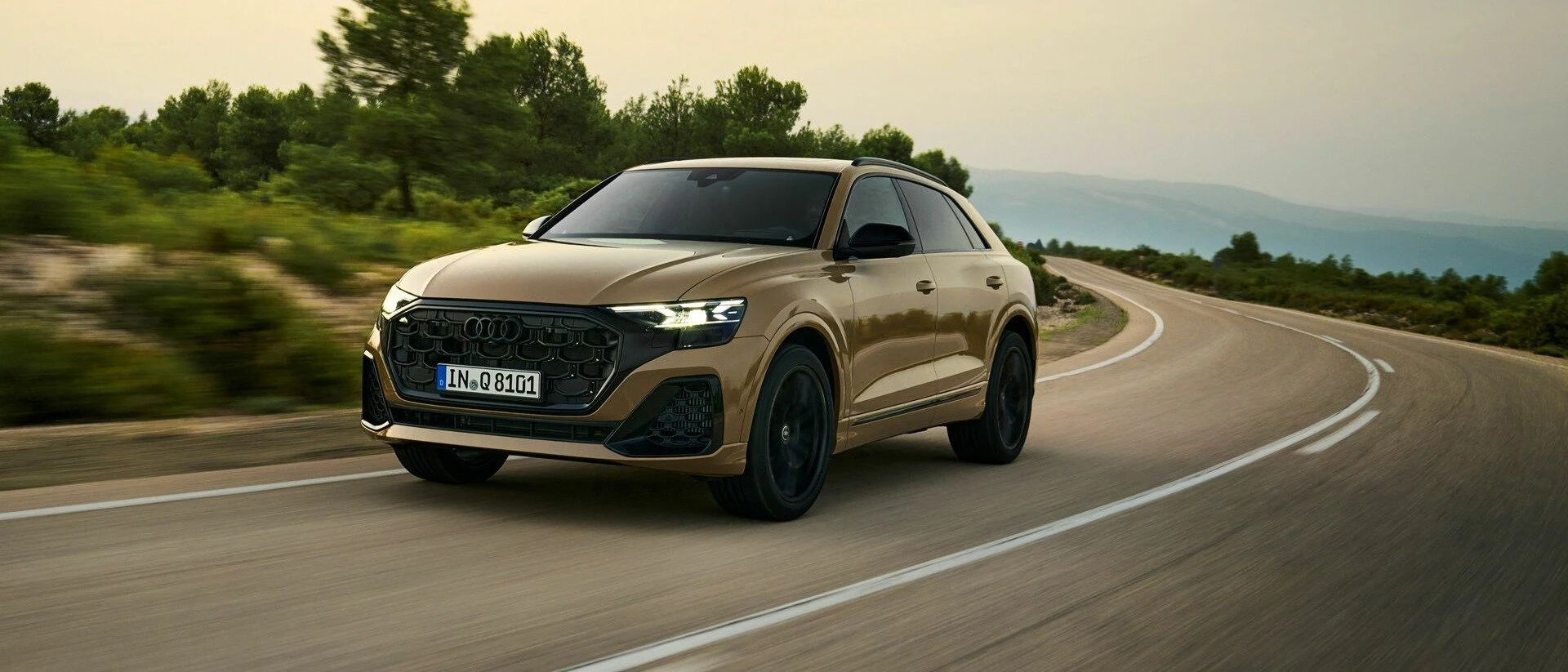 Audi Q8 S line business TFSI e 360 kW quattro tiptronic