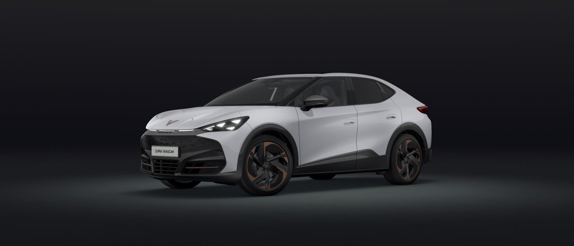 Cupra Tavascan Endurance  210 kW (286 PS) 77 kWh