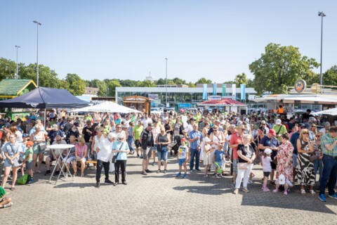https://www.autohaus-wolfsburg.de/_Resources/Persistent/7/d/8/f/7d8f0c8ff7c4f32450798d3843e3ec4bc37c5c61/28%20-%20_F1_7539-480x320.jpg