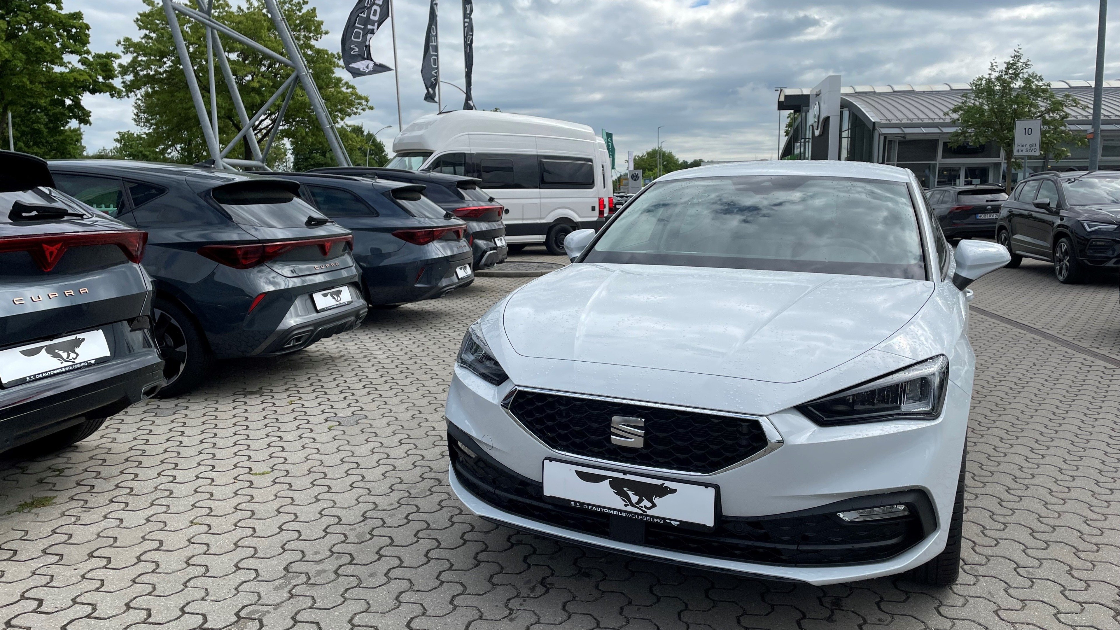 Detailbild 2: Seat Leon  Road Edition 1.5 TSI 85 kW (116 PS) 6-Gang
