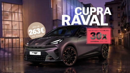 Cupra Raval Endurance Edition Dynamic 155 kW (211 PS) 52 kWh
