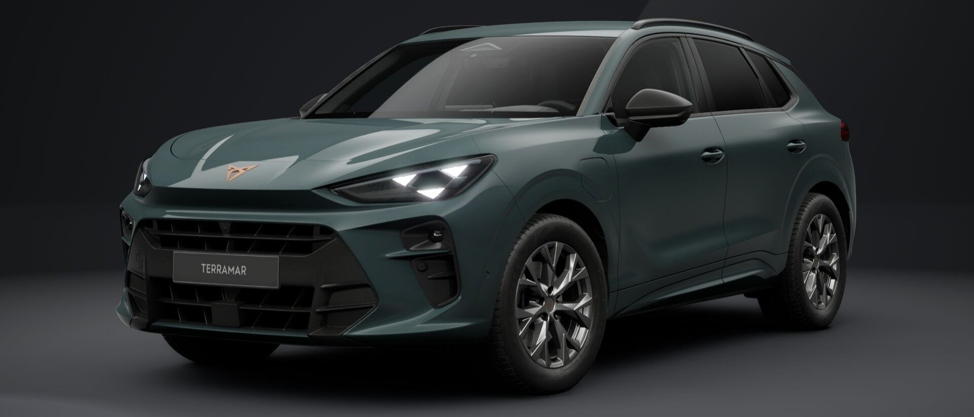 Cupra Terramar  1.5 e-HYBRID 150 kW (204 PS) 